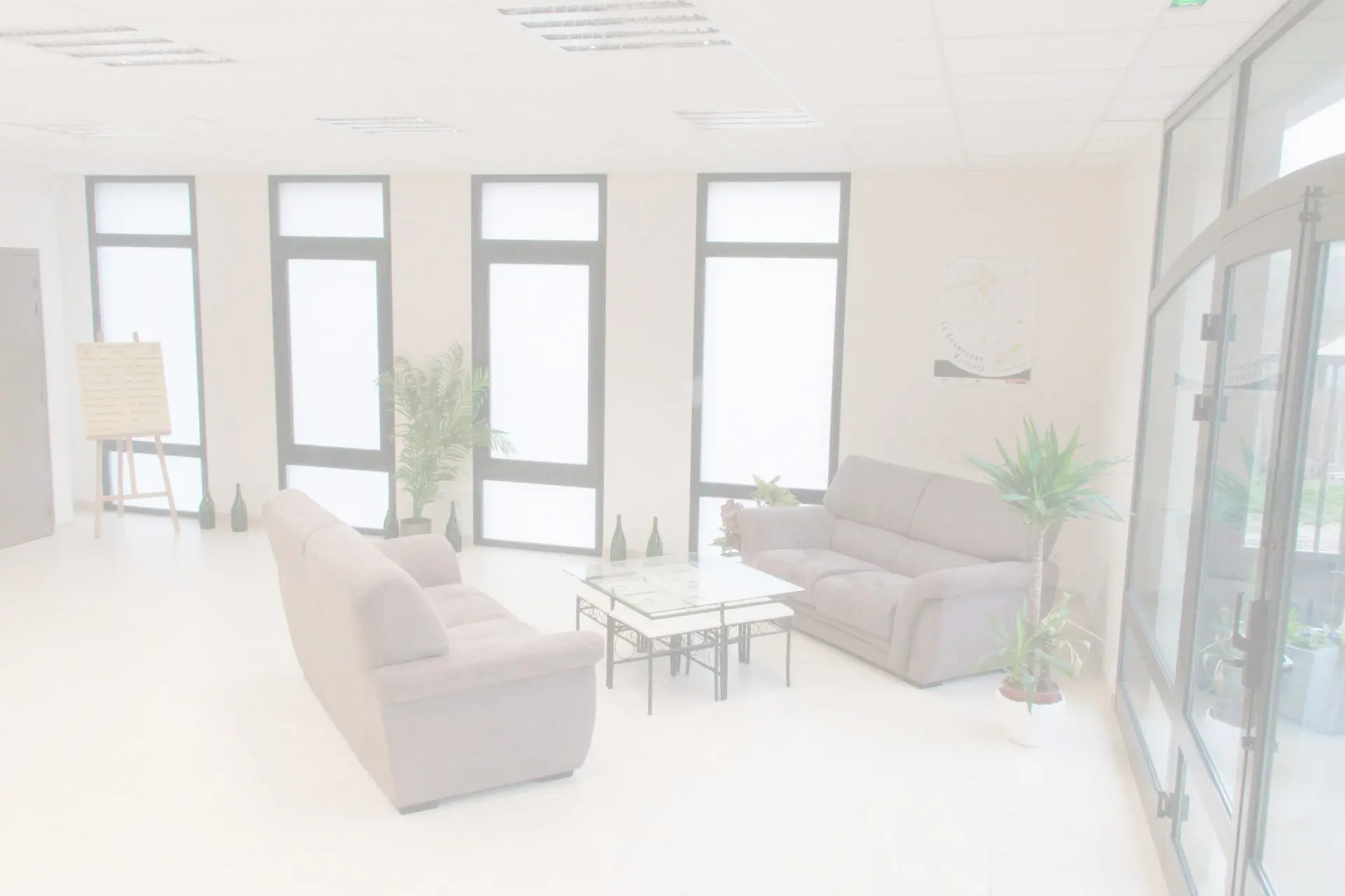 Visite de la maison Collard Leveau avec dégustation